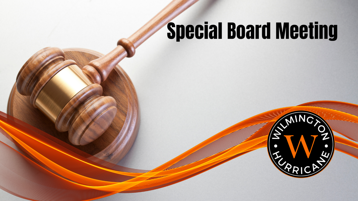 gavel and logo, "Special Board Meeting"